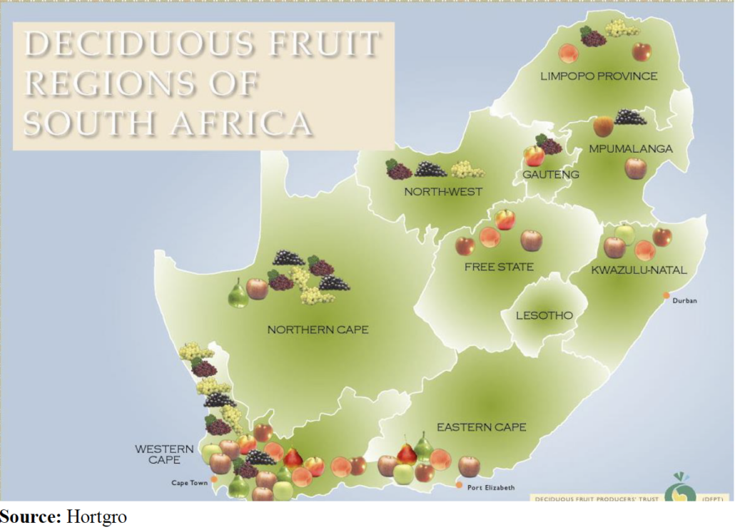 Fruit Tree Map